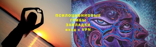 крисы Инсар