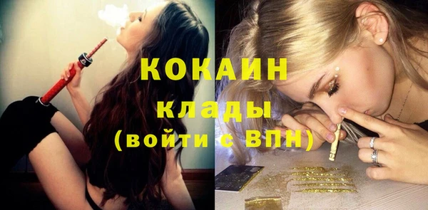 mdpv Инта